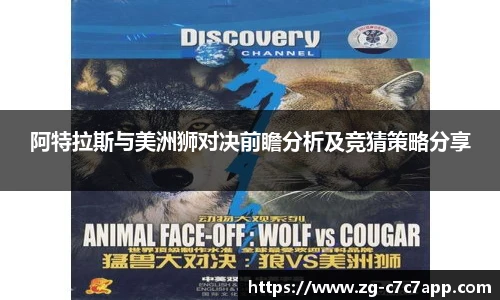 阿特拉斯与美洲狮对决前瞻分析及竞猜策略分享