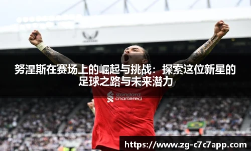 努涅斯在赛场上的崛起与挑战：探索这位新星的足球之路与未来潜力